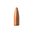 💥 Varmint Grenade 20 Caliber od Barnes Bullets jsou bezolovnaté střely pro lov škůdců s explozivními výsledky. Ideální pro ultra vysoké rychlosti. Naučte se více! 🐿️