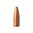 Bezolovnaté střely Varmint Grenade 22 Caliber od Barnes Bullets poskytují explozivní výsledky při lovení škodné. Získejte je nyní! 💥🔫 #Hunting #BarnesBullets