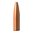 Střely VARMINT GRENADE 6MM (0.243") od BARNES BULLETS s dutým hrotem a plochou základnou. Ideální pro lovce! 🌟 Kalibr 243, 62 grain. 📦 250 ks. Naučte se více!
